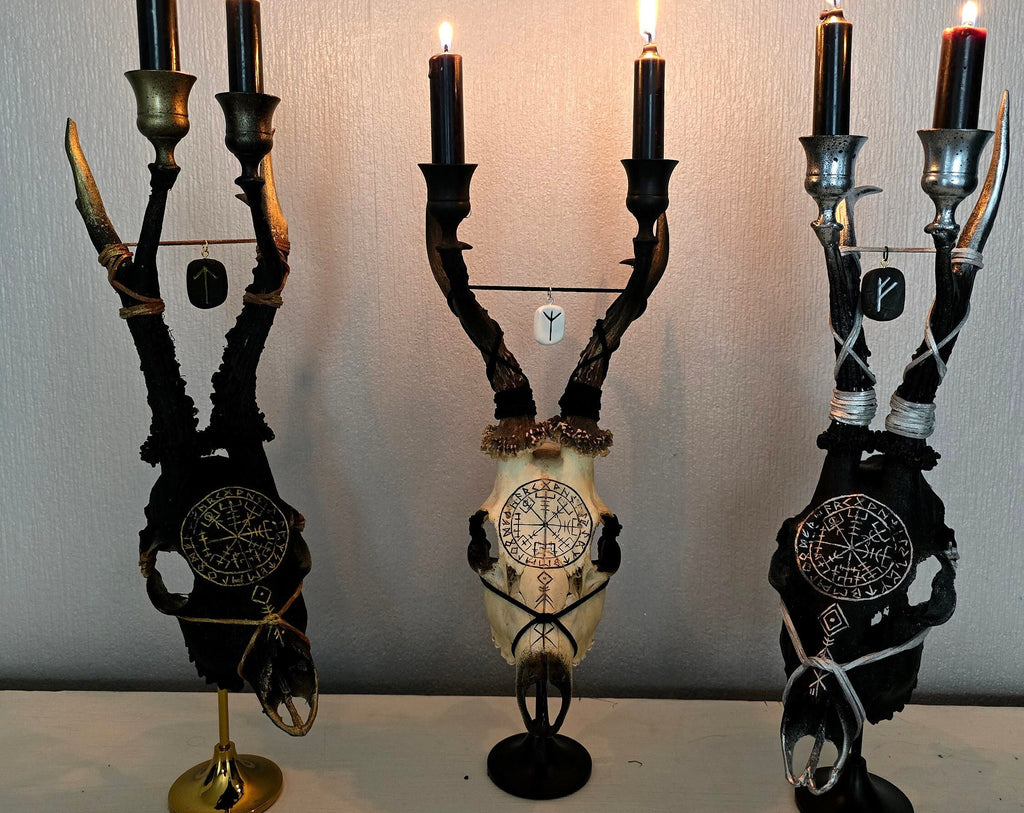 Genuine roe deer skull candle holder