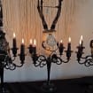 Genuine roe deer skull candle holder