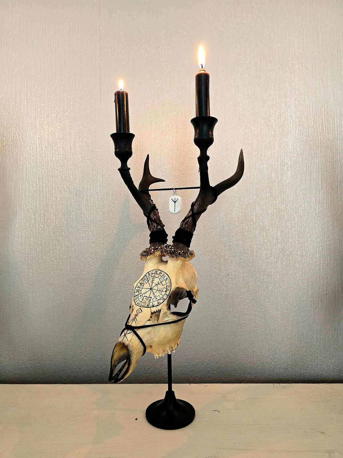 Genuine roe deer skull candle holder