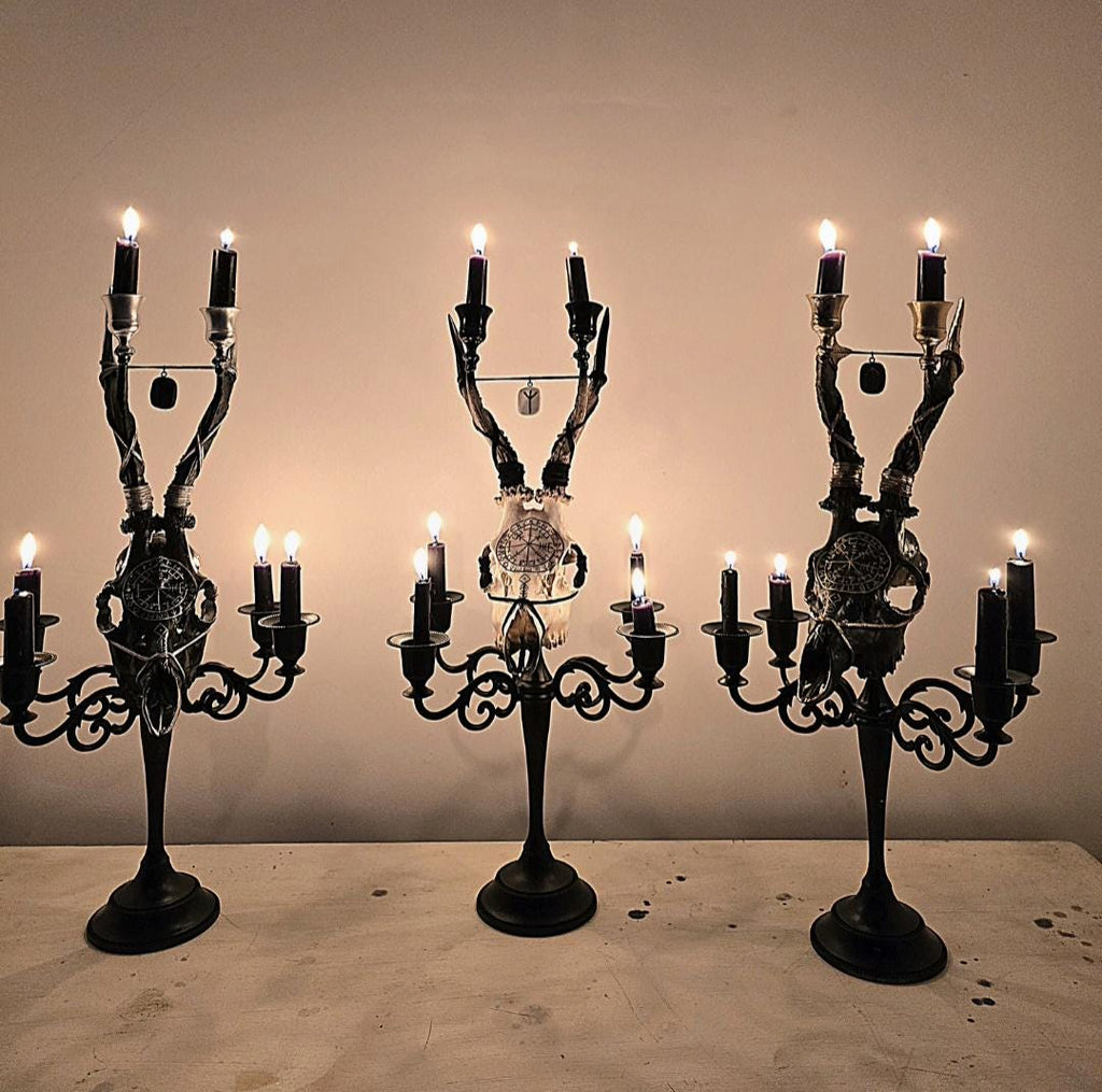 Genuine roe deer skull candle holder