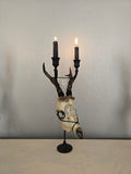Genuine roe deer skull candle holder