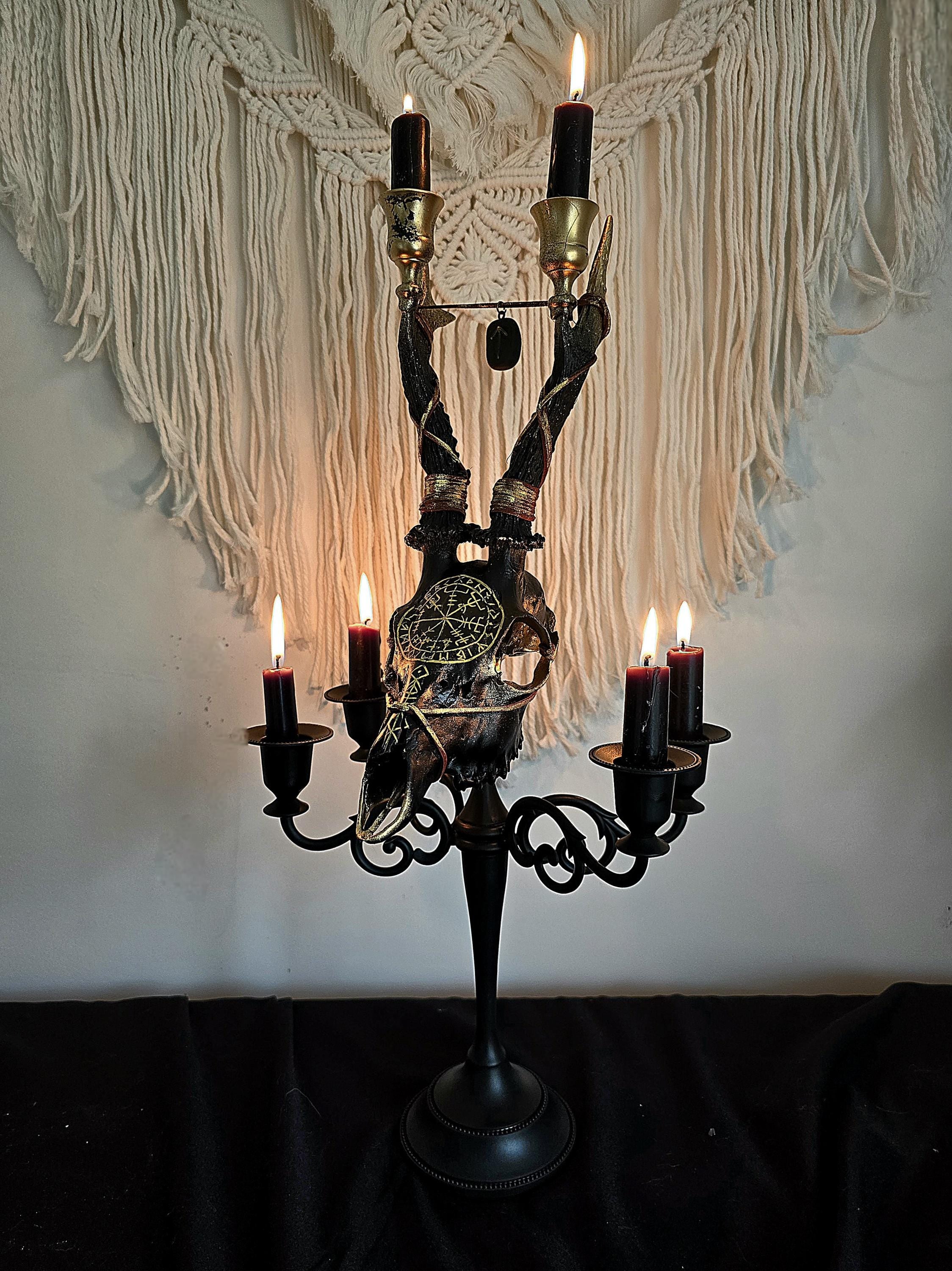 Genuine roe deer skull candle holder