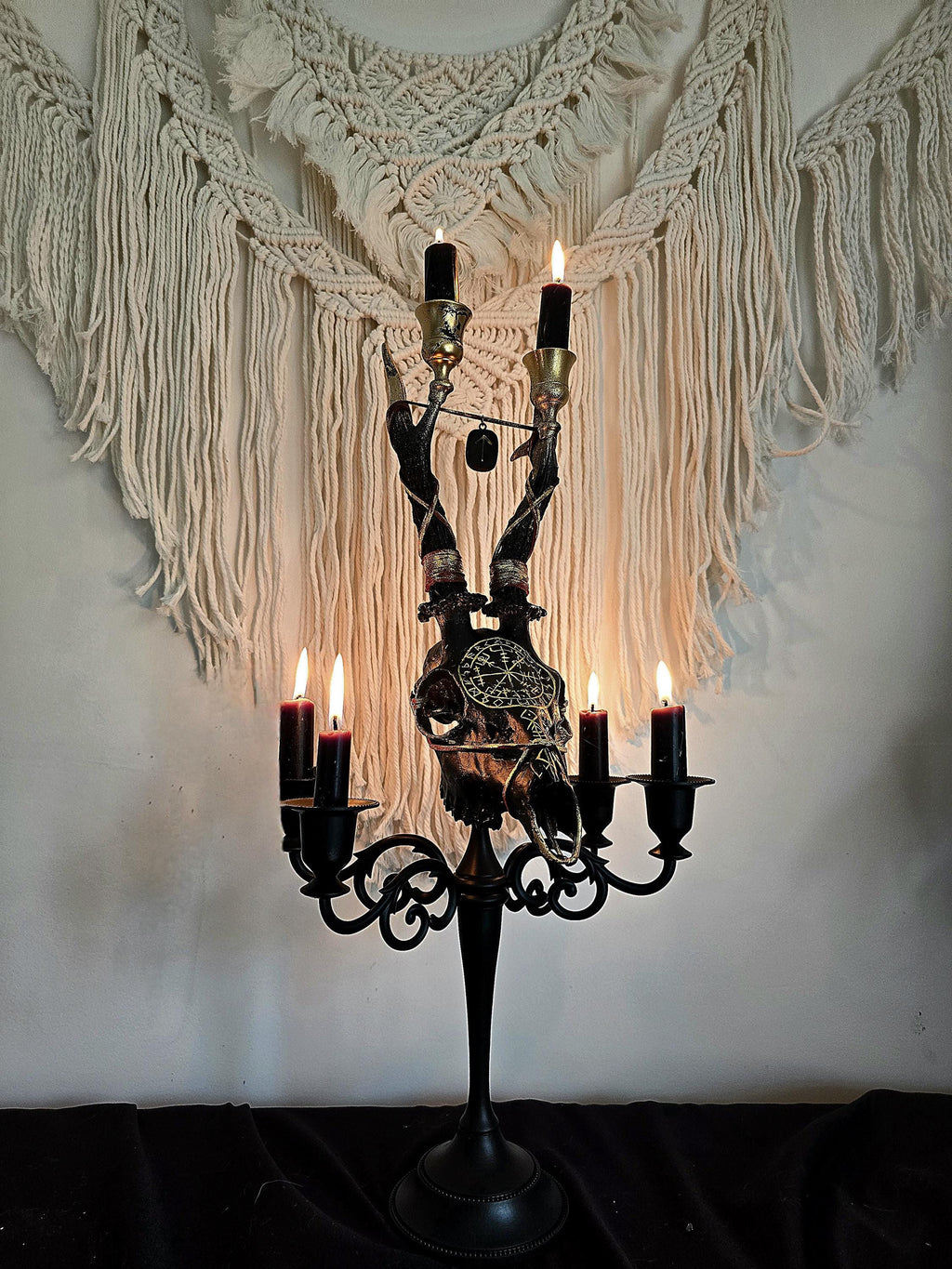 Genuine roe deer skull candle holder
