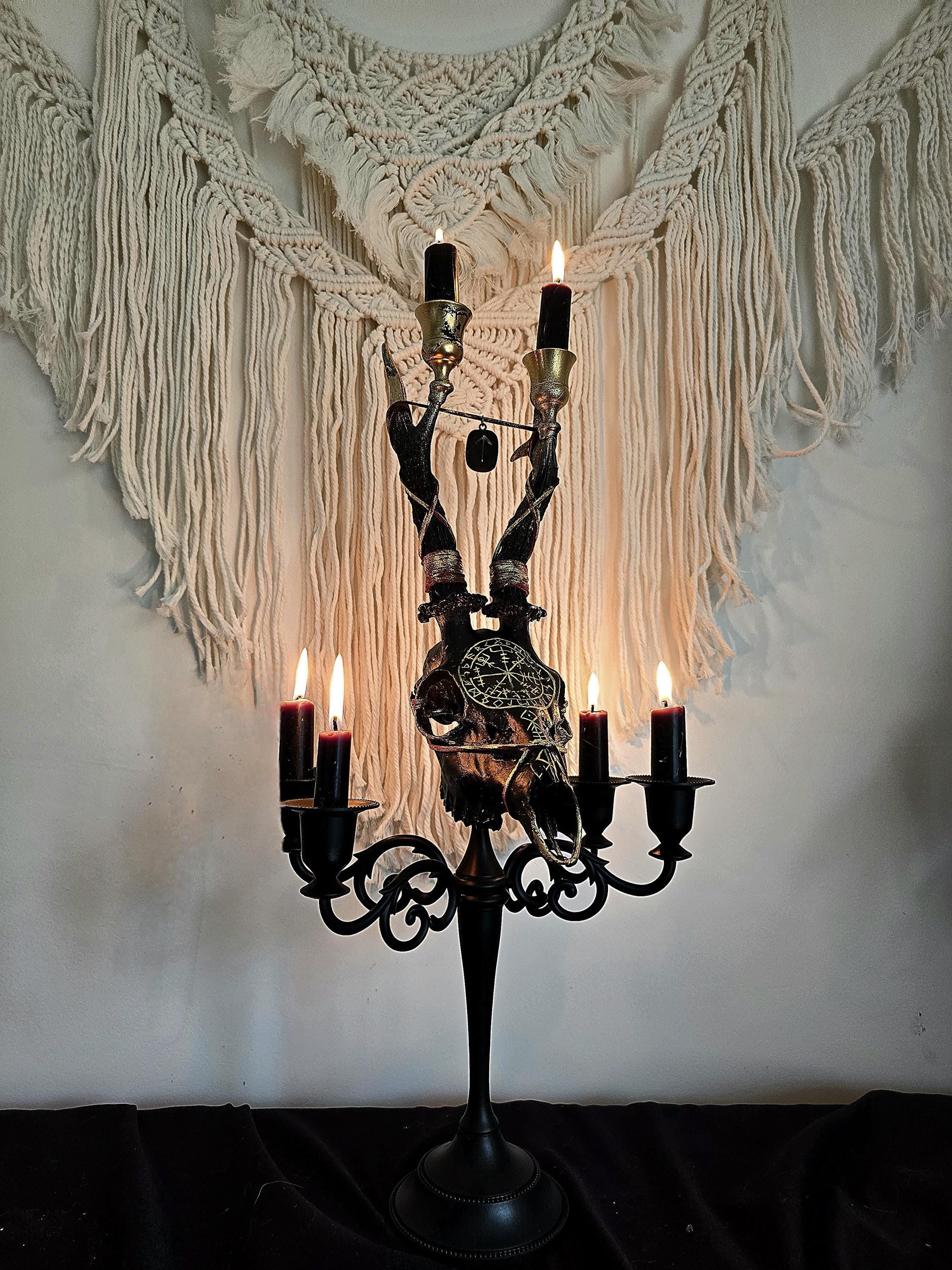 Genuine roe deer skull candle holder