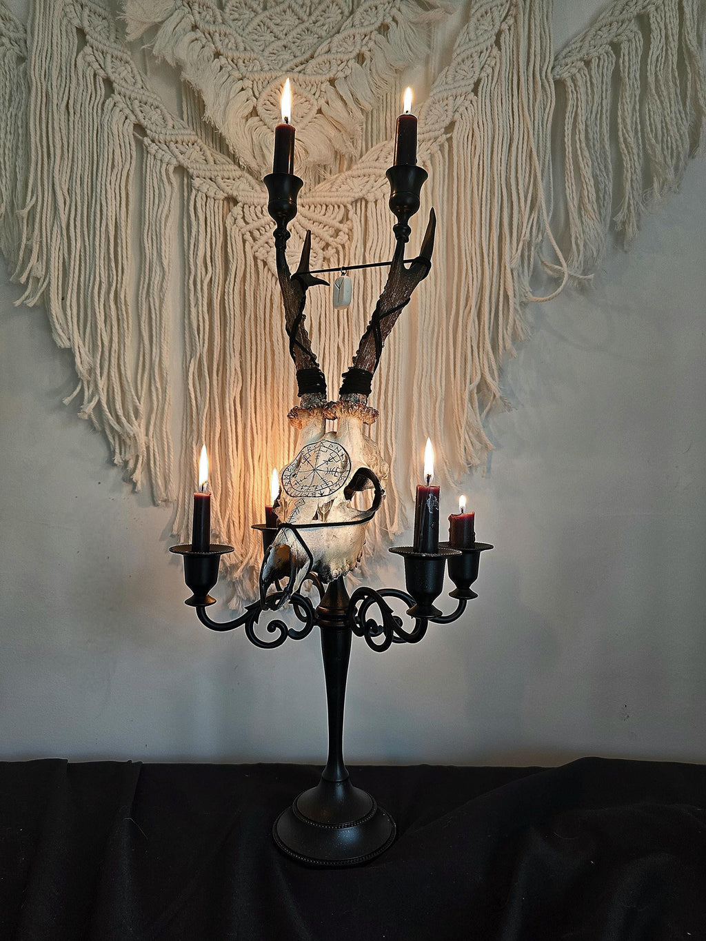 Genuine roe deer skull candle holder
