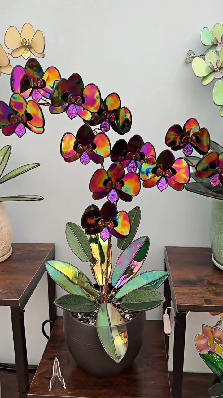 Bicolor Glass Orchid